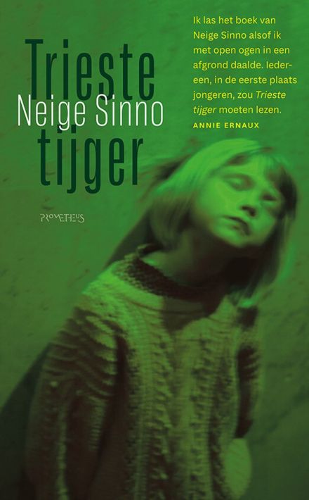 Lucy Fricke: De diplomate